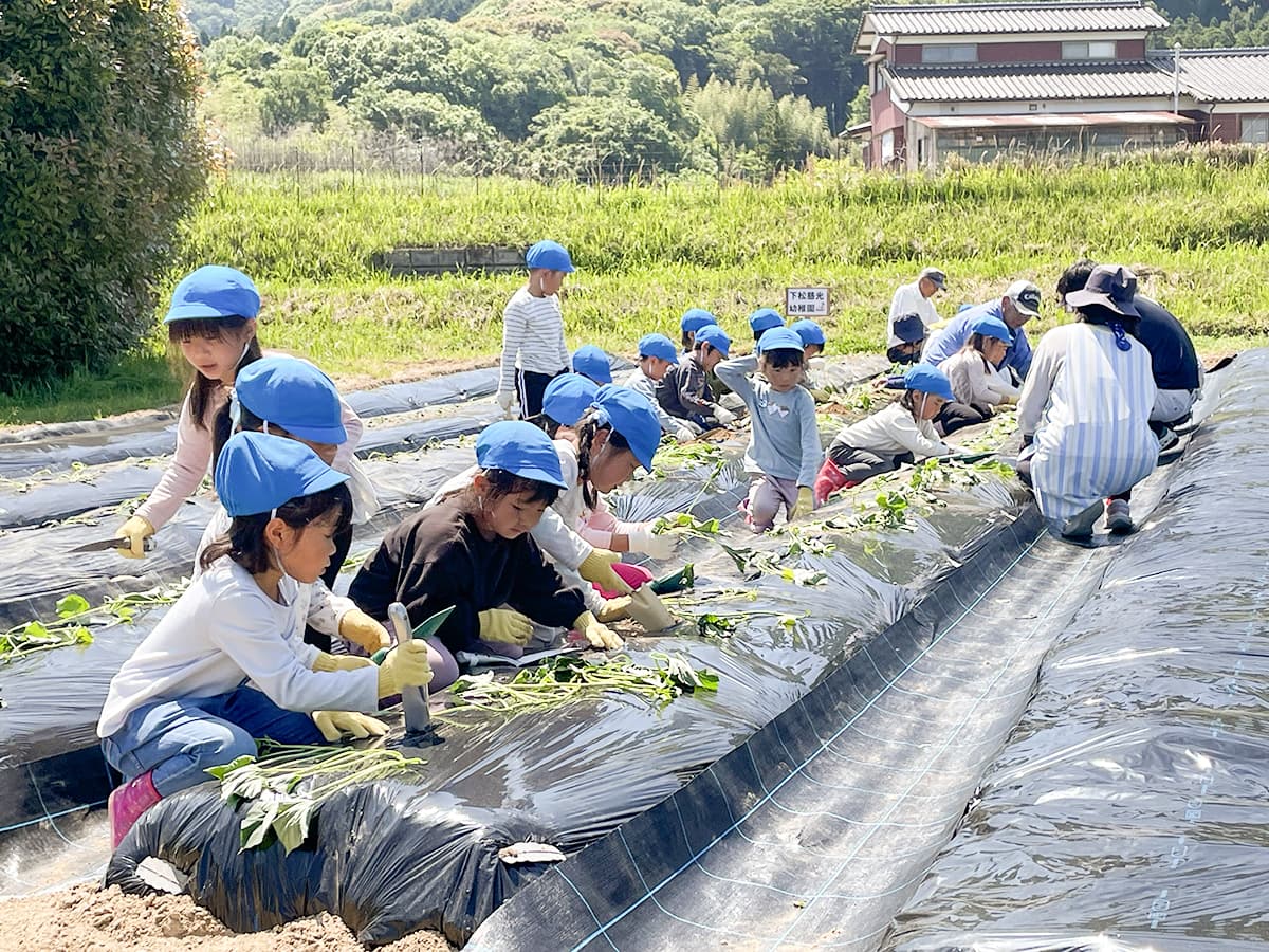 イメージ6
